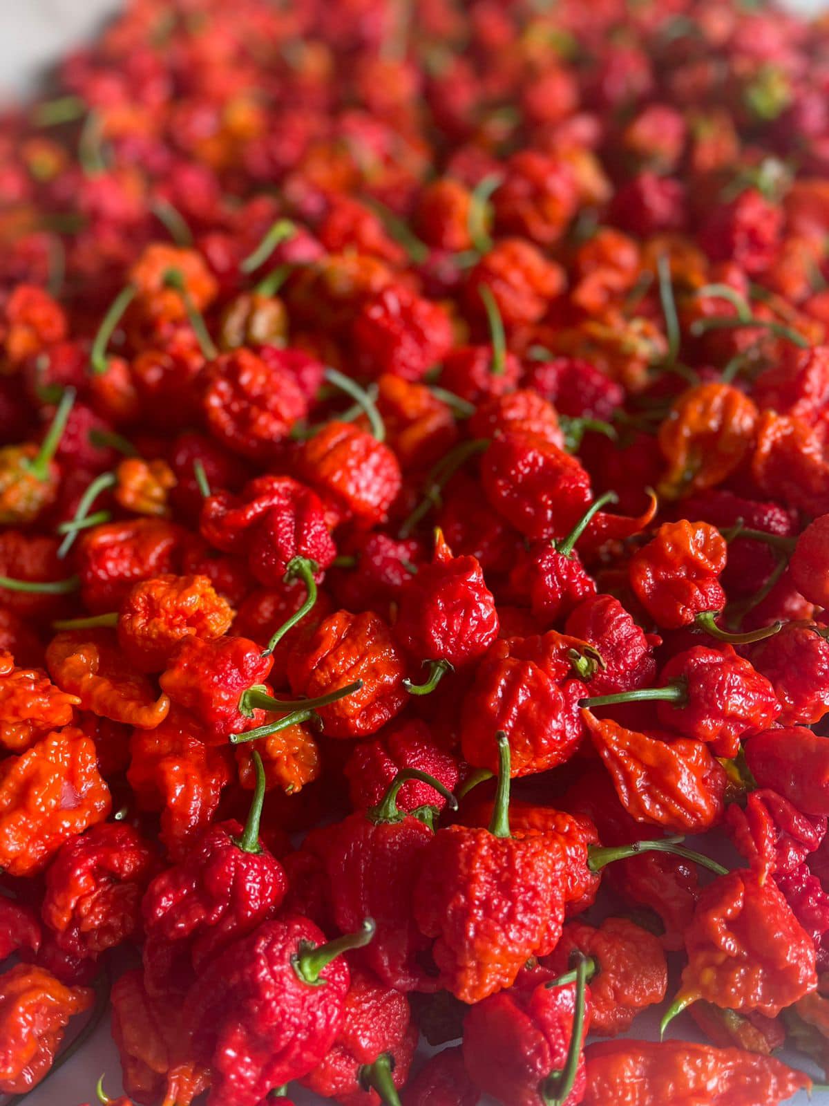 Reapers